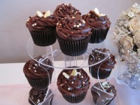 /album/photo-gallery-cupcakes1/jacks-first-camp-033-jpg/